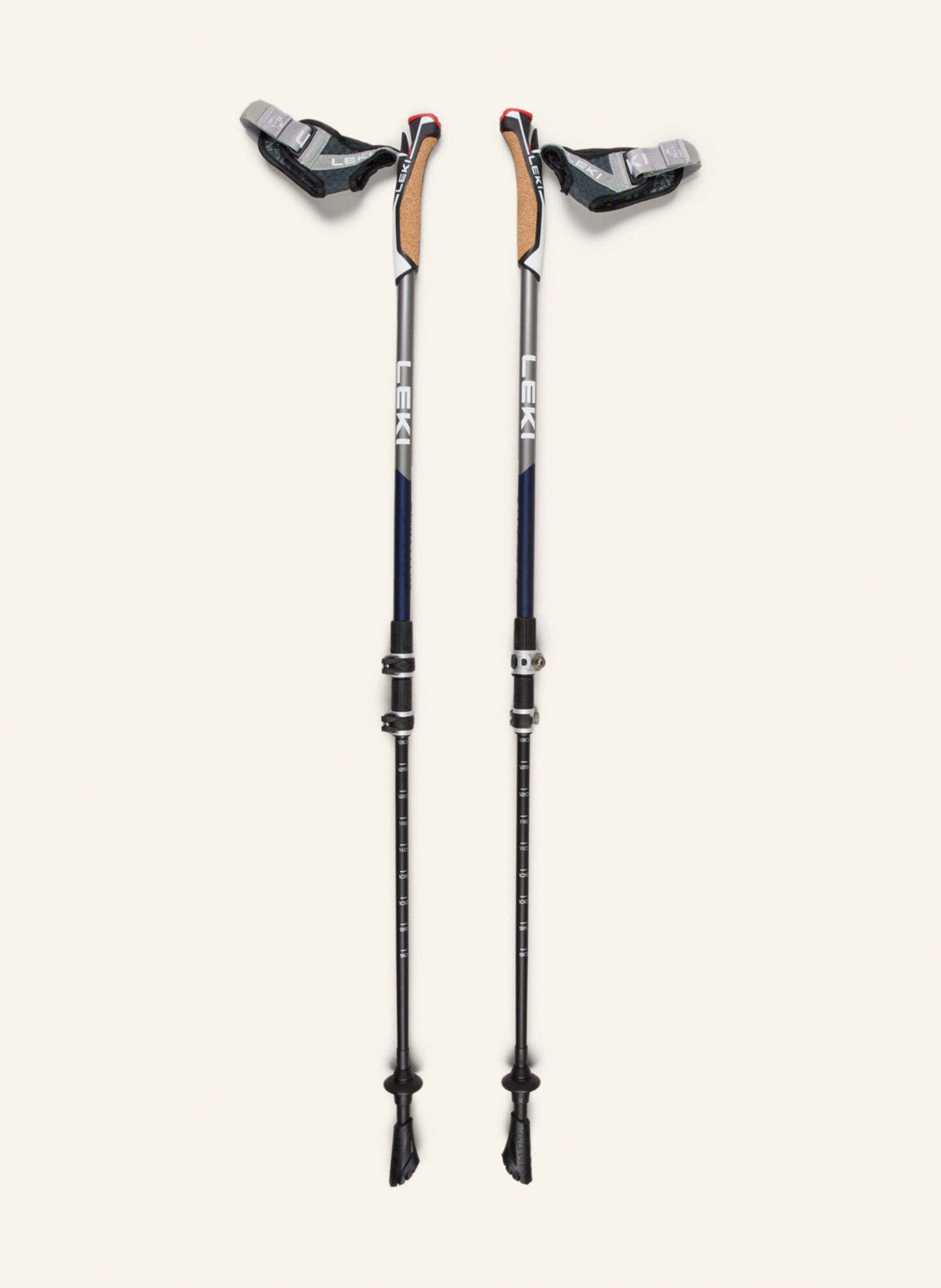 Nordpfad Carbon Wanderstock